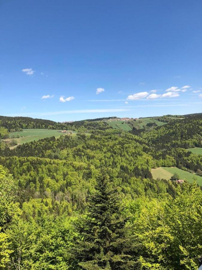 Ferienhaus Bayerwald Ringelai Zewnętrze zdjęcie